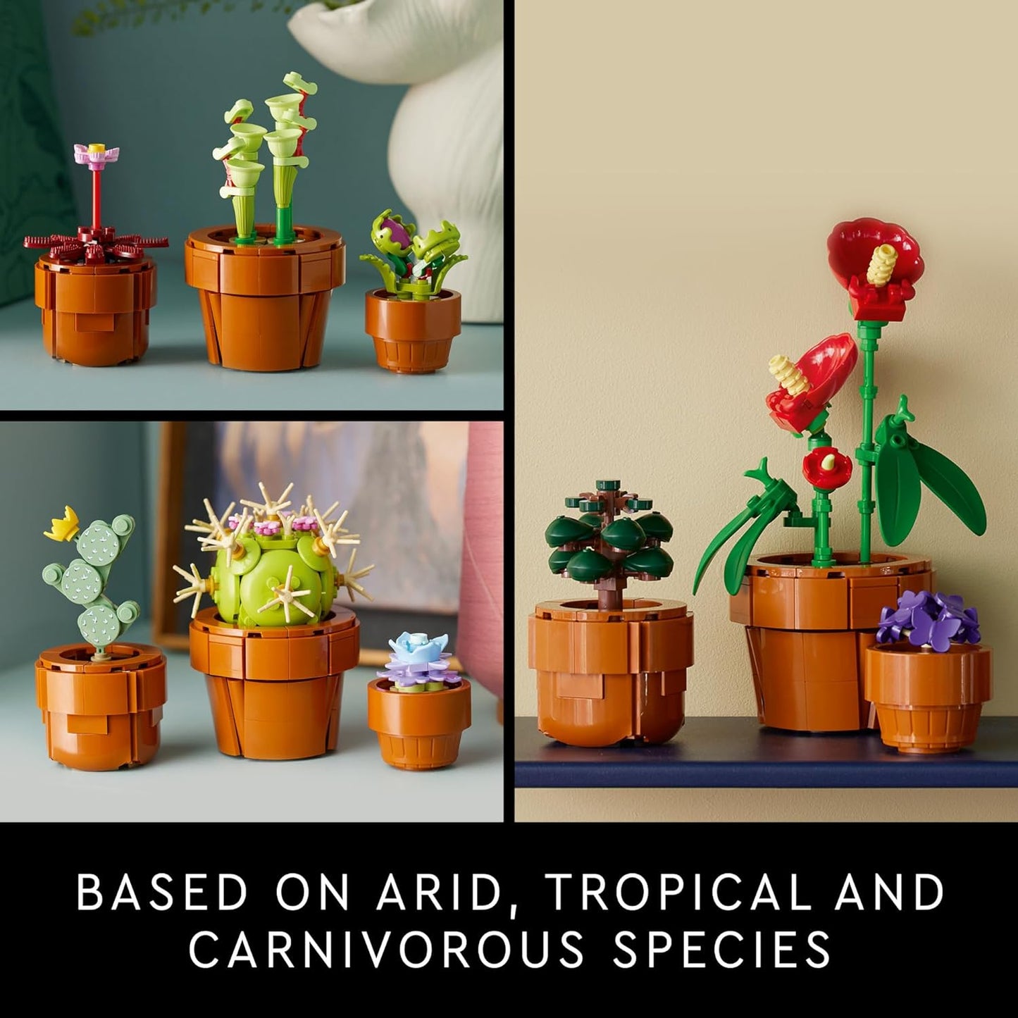 Icons Tiny Plants Set - Cactus Décor, Botanical Collection for Adults